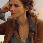 Goya Toledo. Nordeste